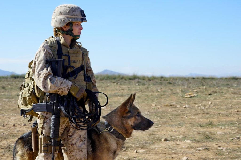 Megan Leavey Review: An Emotional Love Story Between A Woman And Her Dog