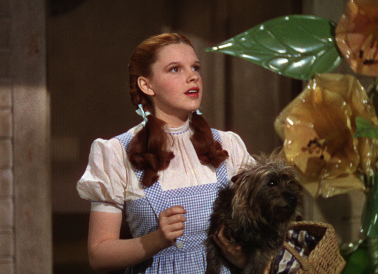 ‘The Wizard of Oz’ Remake Will “Reflect The World” With LGBTQ Representation